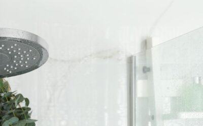 5 Showerhead Options for Your Bathroom Renovation