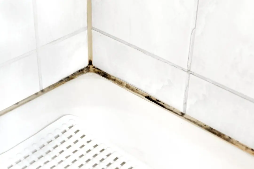 bathroom mould
